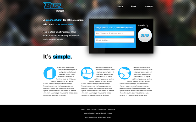 Buz Company Website